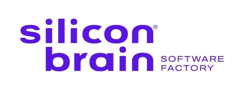SILICON BRAIN